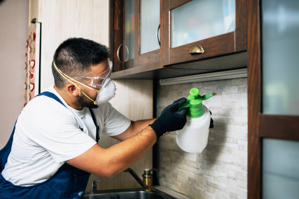 Professional Pest Control in Clayton, MO
